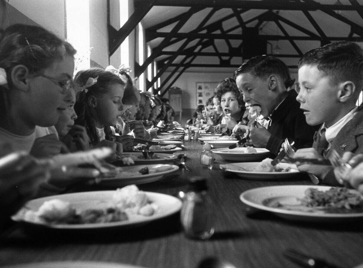 School Dinners