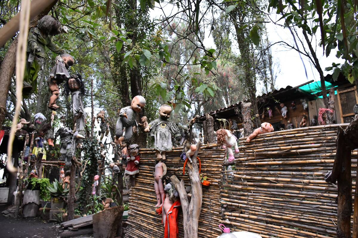 The Terrifying Island Of The Dolls In Mexico CIty