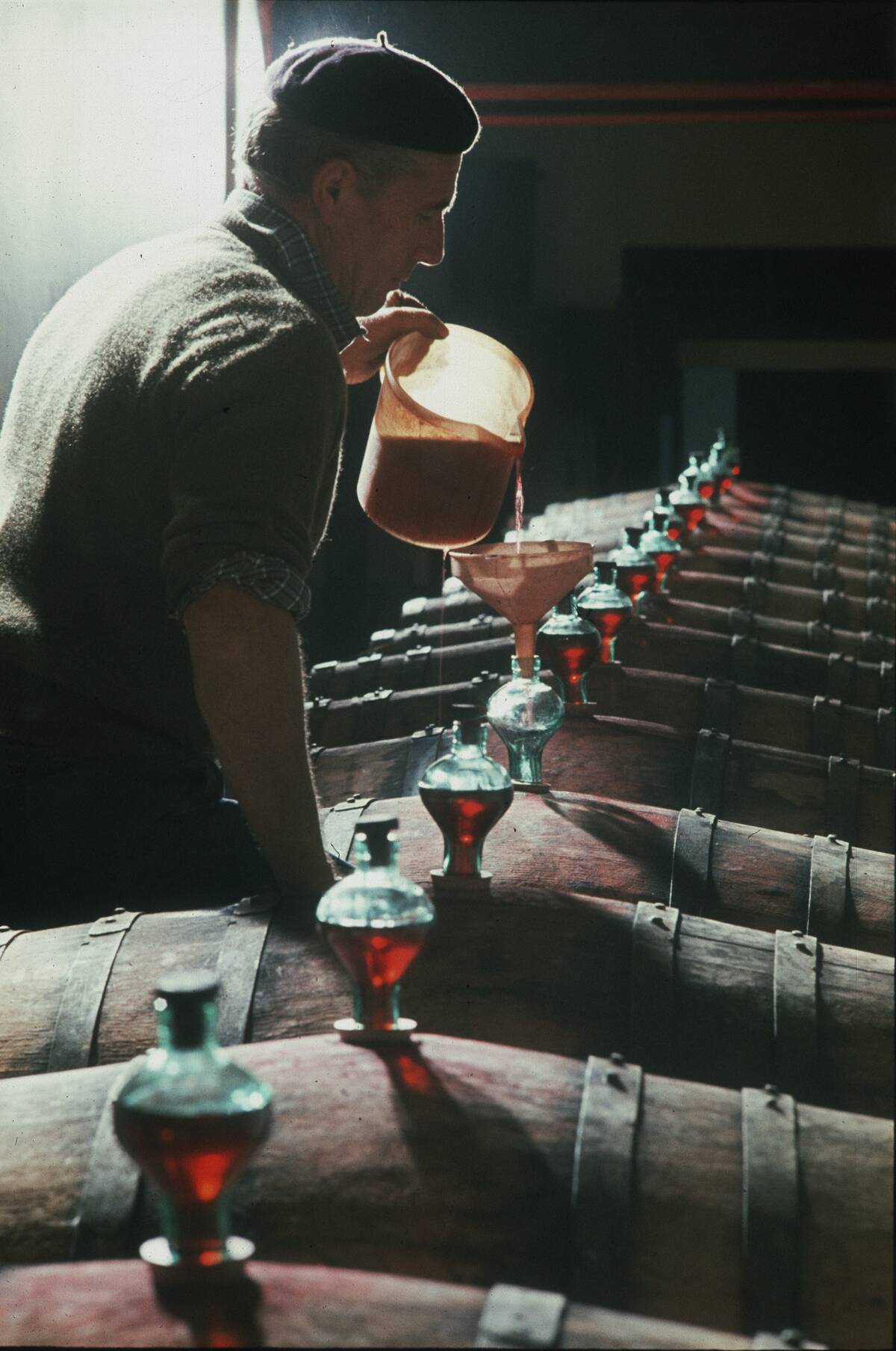 Wine Taster Pouring Wine