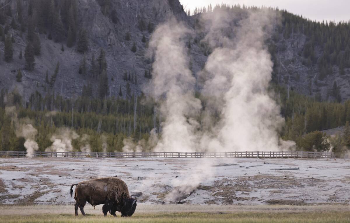 Yellowstone: America's First National Park