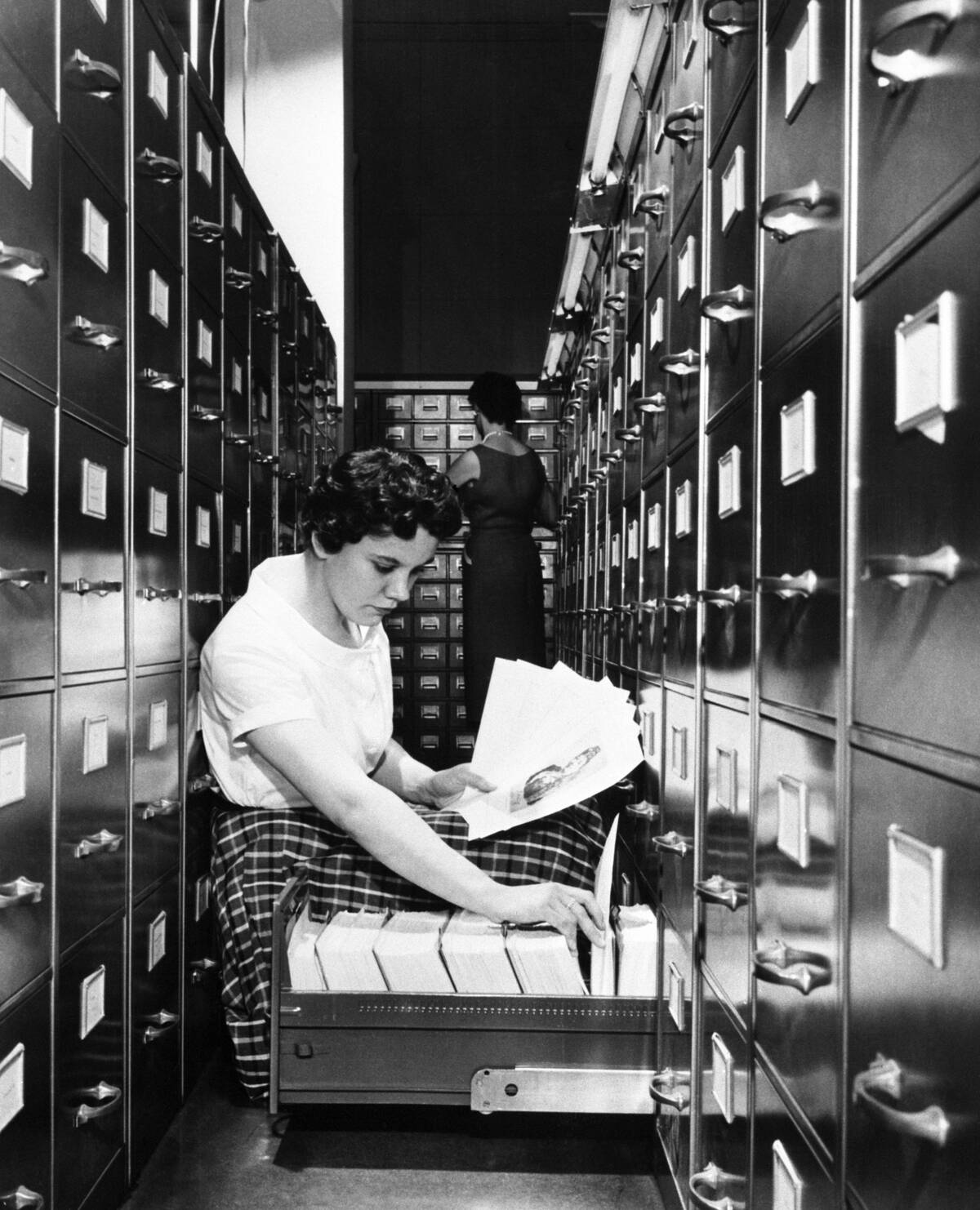 Young female archivist at work