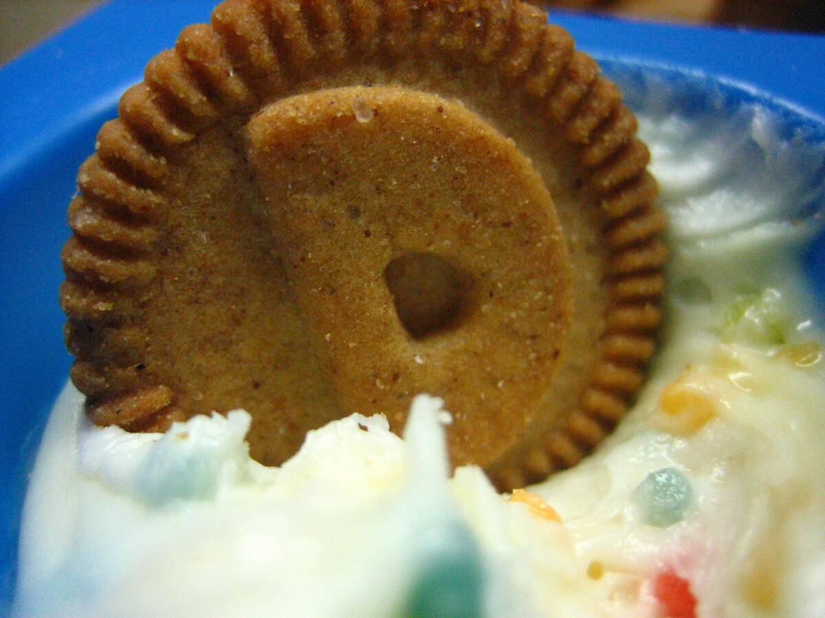 32._DUNKAROOS!_(3626901761) (1)