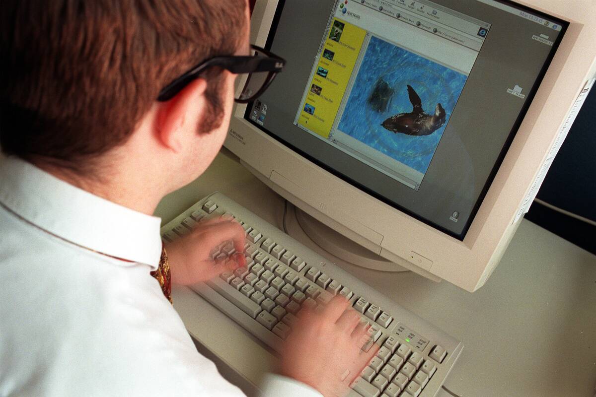 A person works at a computer, 15 June 1998. AFR Picture by BELINDA PRATTEN
