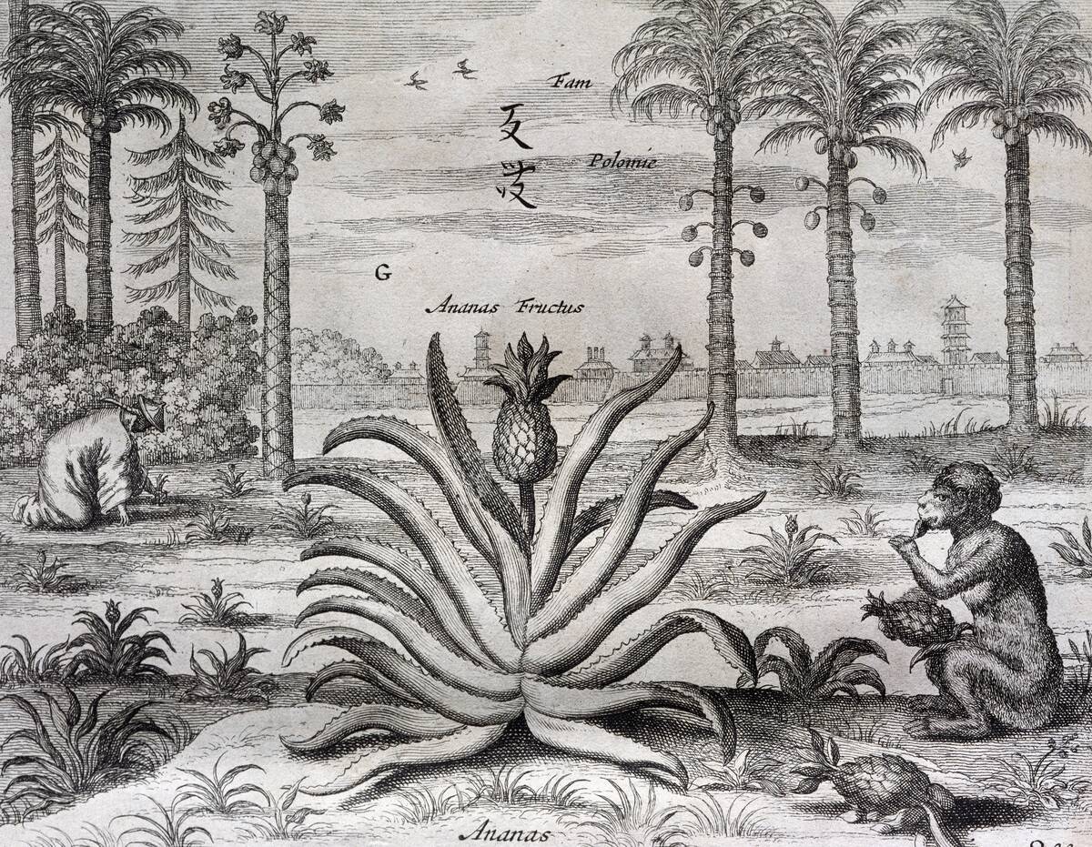 Athanasius Kircher.