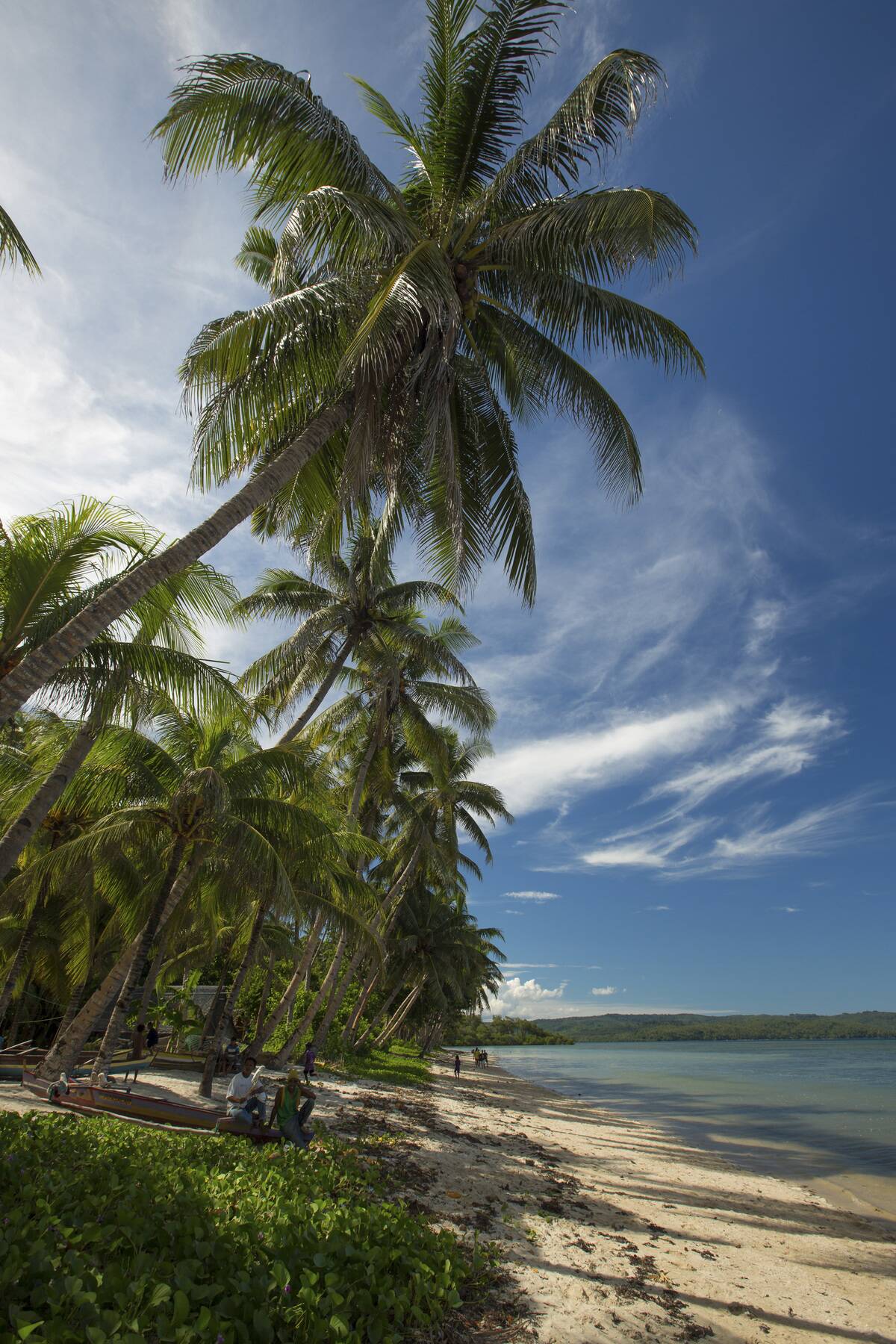 Beach fringed with palm trees at Salgliat Dol village