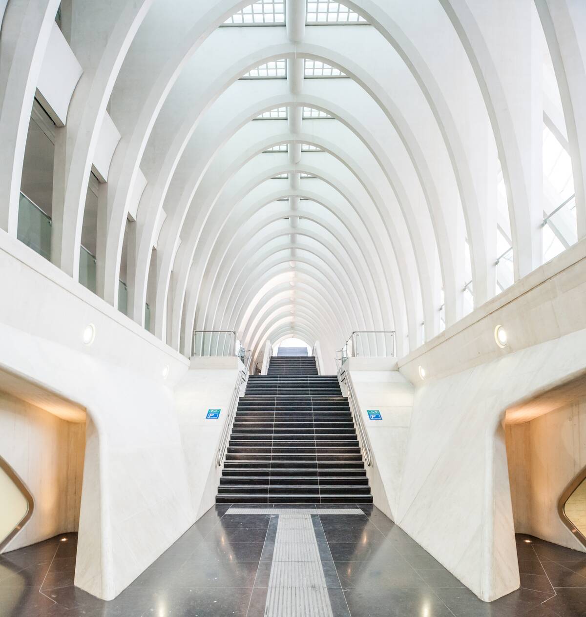 Belgium, Liège, Gare de Liège-Guillemins railway station - 19th february 2010