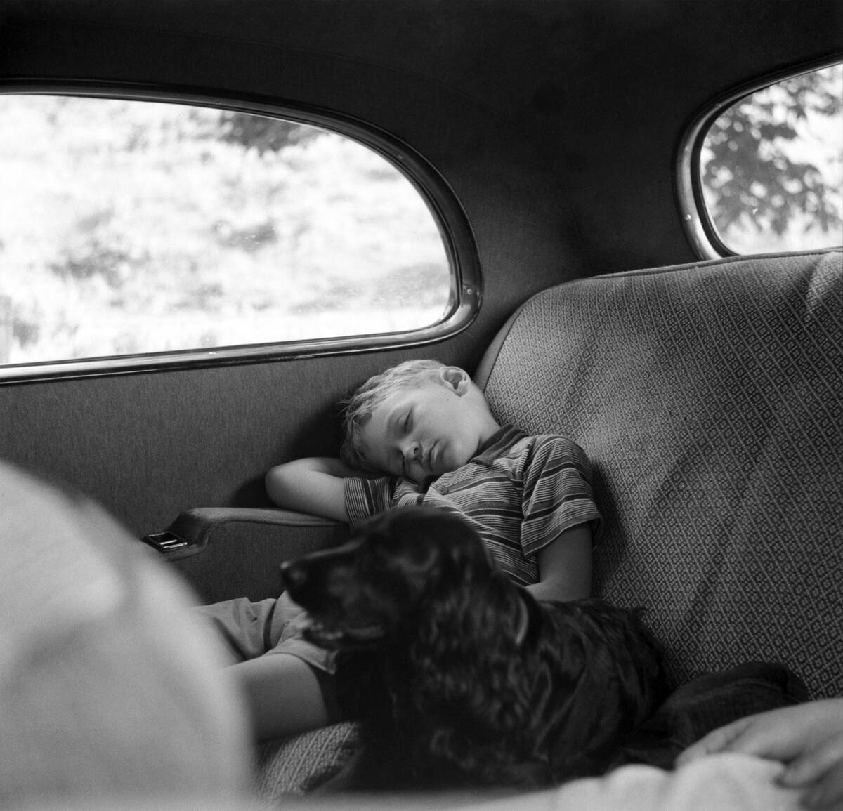 Boy Asleep In Motorcar