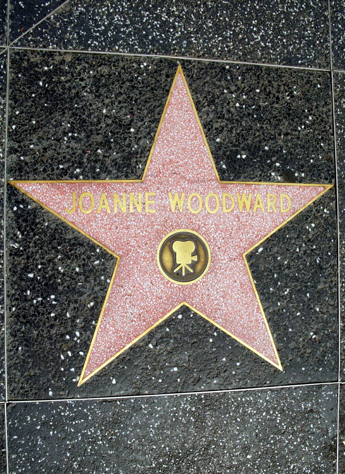 Celebrity Stars In Hollywood