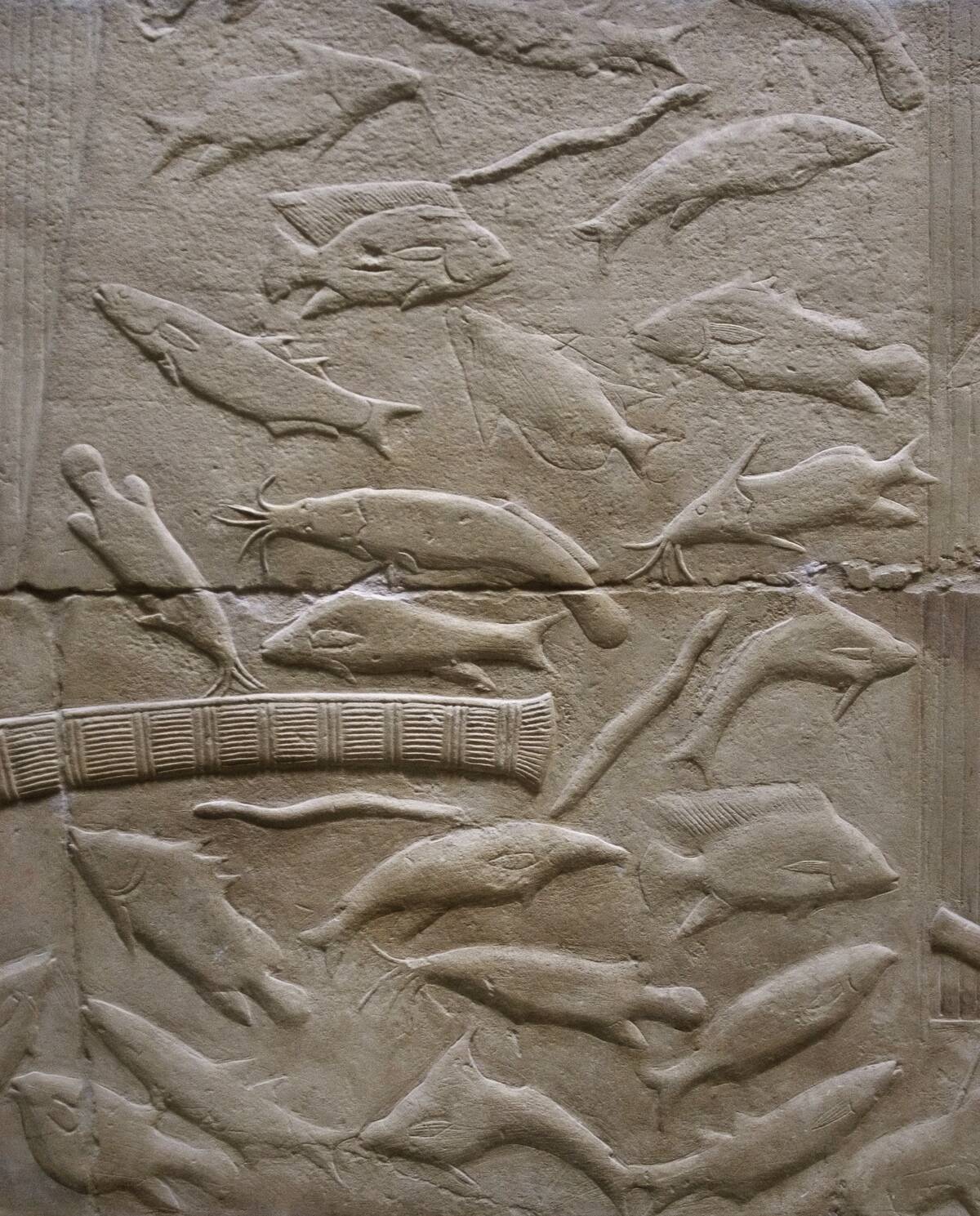 Fish Relief