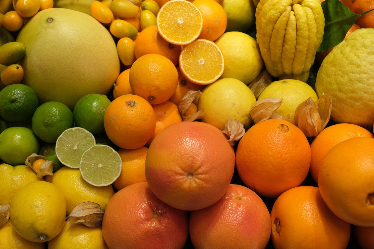 Green Week Agricultural Trade Fair Opens In Berlin