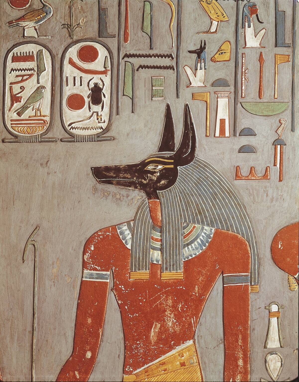 Jackal head god Anubis