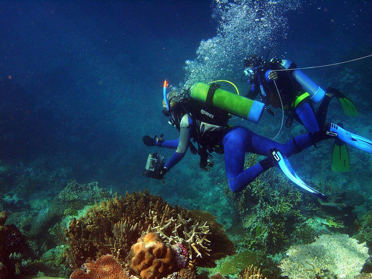 Katrina Goudkamp videos coral with the help of Aboriginal trainee Lwayne Boslem
