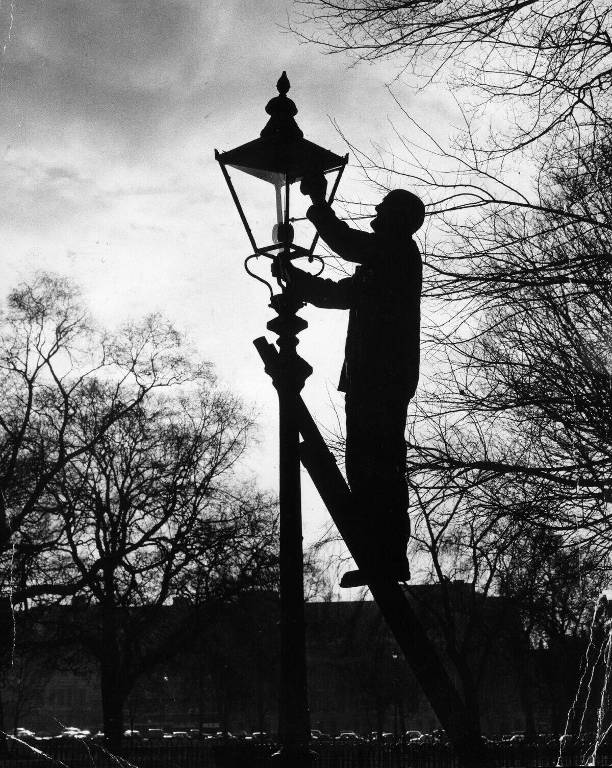 Lamp Lighter