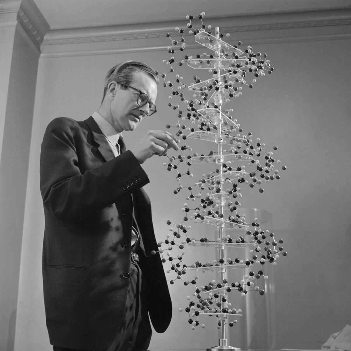 Maurice Wilkins Studying DNA Molecular Structure