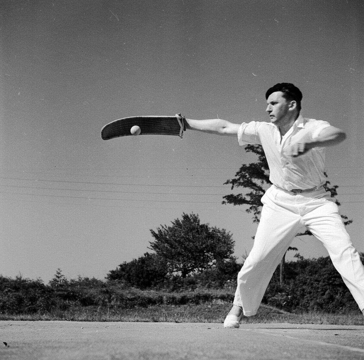 Pelota Catch