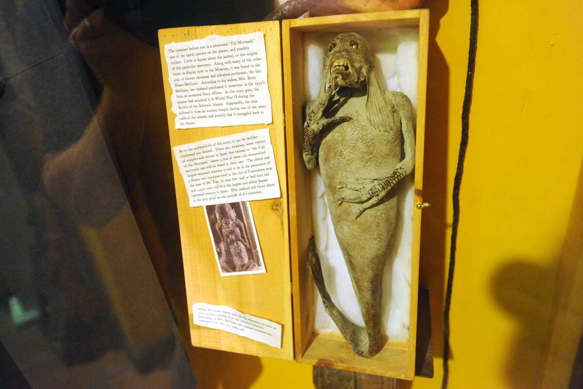 View Of The 'Fiji Mermaid' At The Museum Of The Weird