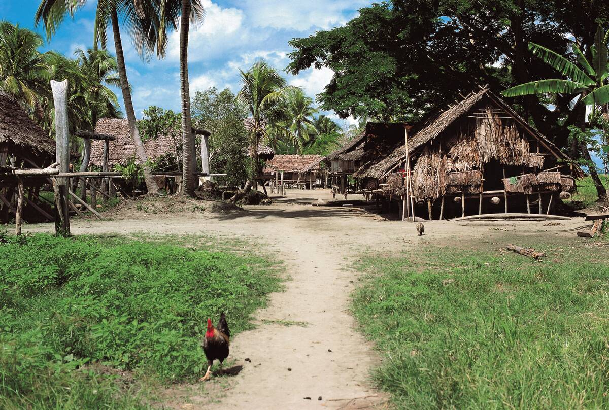 Village of Tambonum, near the Sepik River