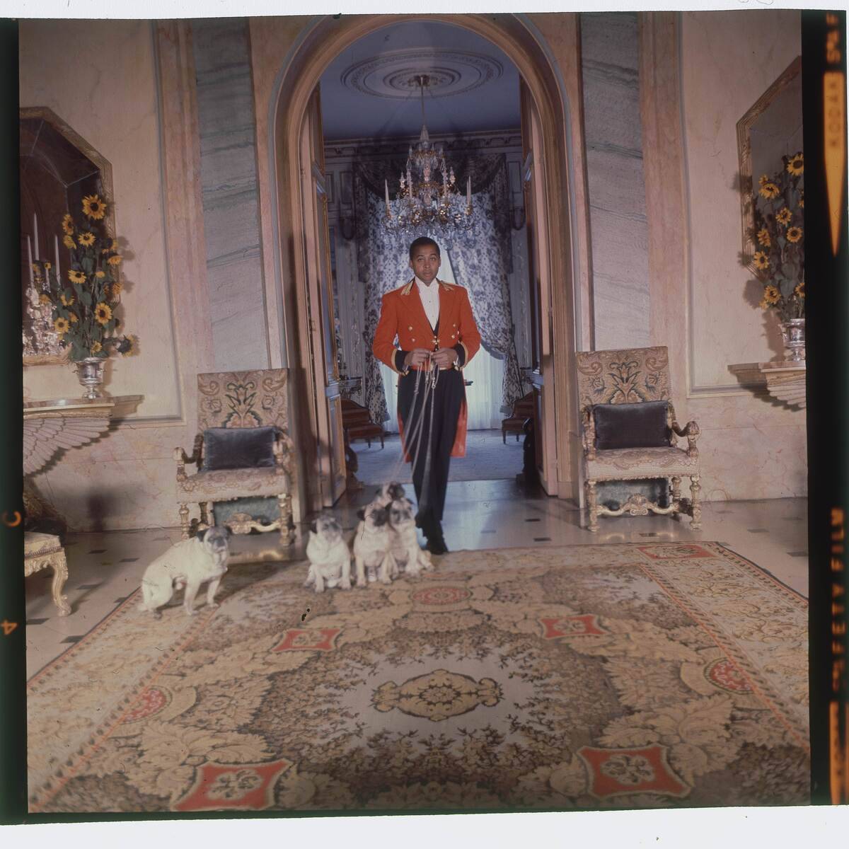 Vogue 1964